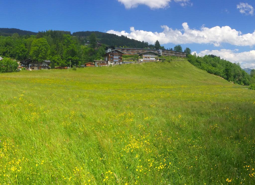 Apartment Weinberg Kirchberg in Tirol Eksteriør bilde